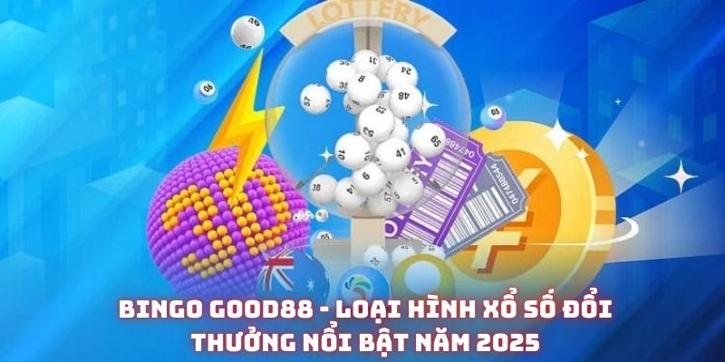 bingo good88 dai dien