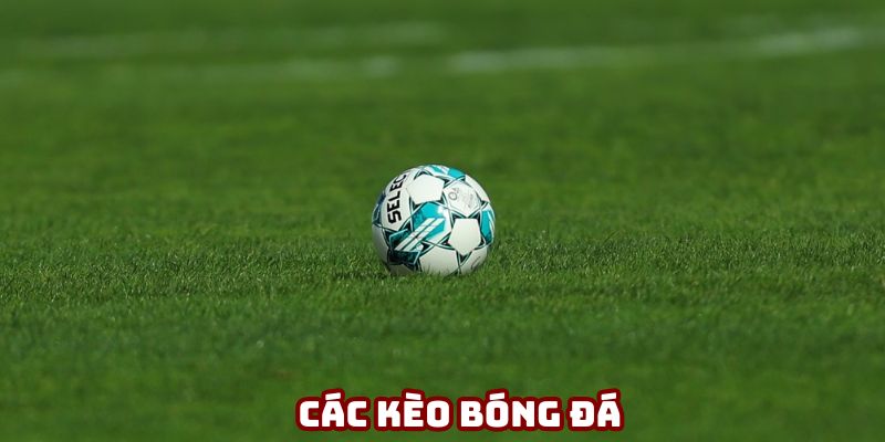 cac keo bong da ava