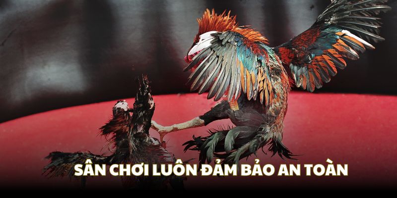 Bảo mật tuyệt đối, tạo an tâm cho hội viên