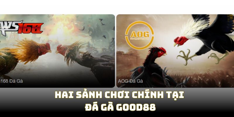 Hai sảnh chơi chính trong cách tham gia đá gà Good88