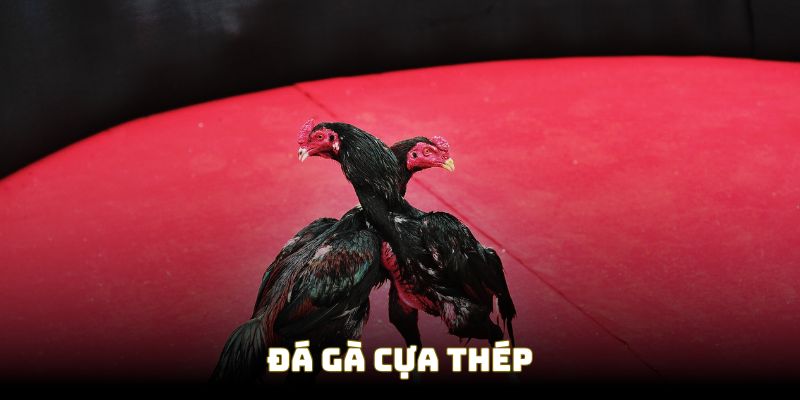 da ga cua thep dai dien