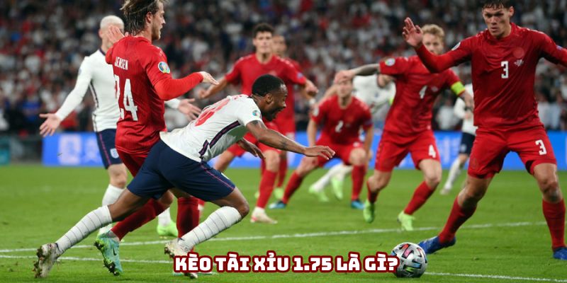Kèo tài xỉu 1,75 đang được nhiều người quan tâm Kèo tài xỉu 1,75 đang được nhiều người quan tâm