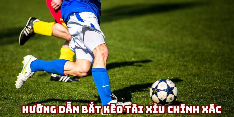 Hướng dẫn người chơi bắt kèo tài xỉu chính xác Hướng dẫn người chơi bắt kèo tài xỉu chính xác