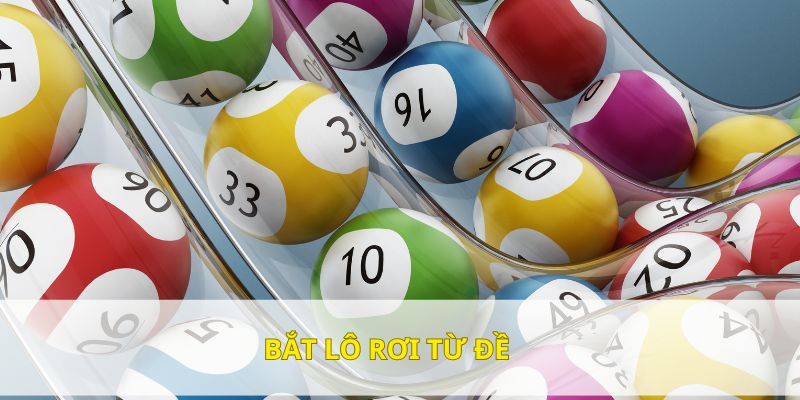 Phương pháp bắt lô rơi từ đề cực hiệu quả lên đến 90%